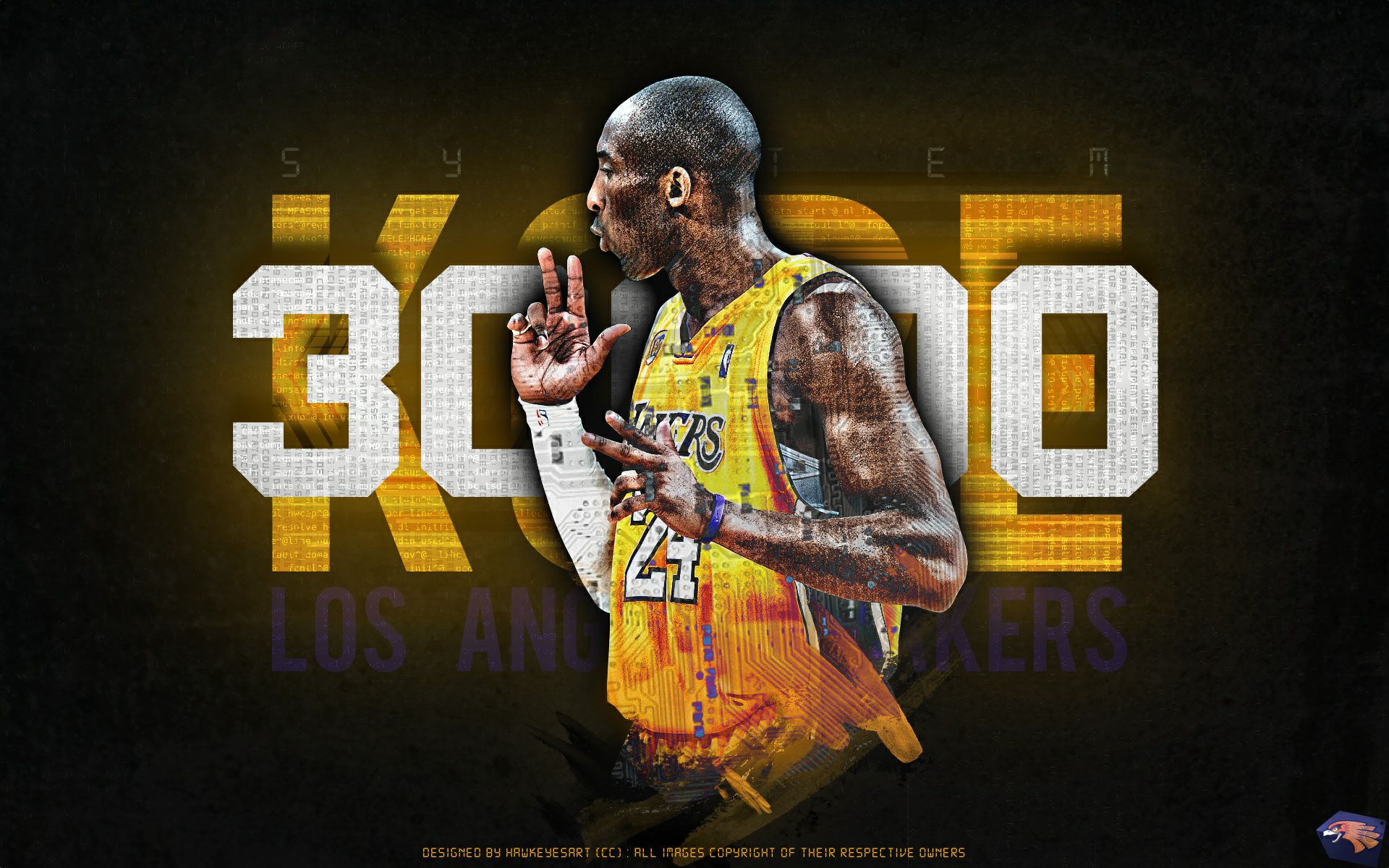 这意味着 这意味着