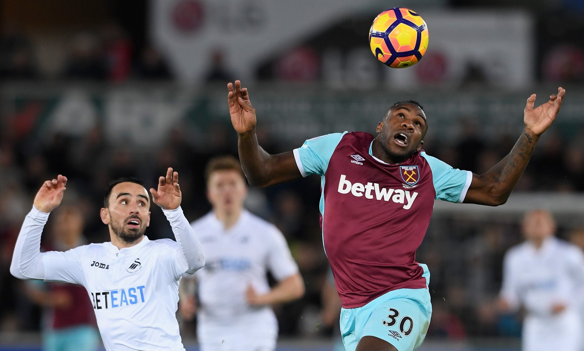 佳绩立下了 佳绩立下了